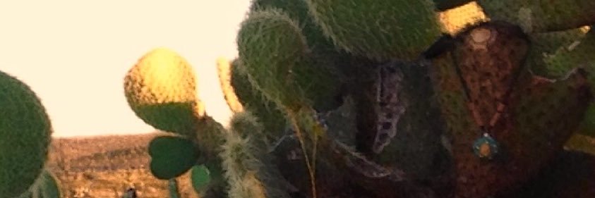 el twigi banner