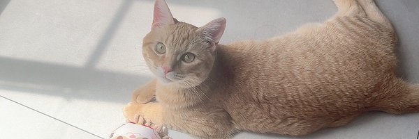__len77 Profile Banner