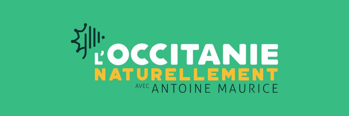 Berjoan Nicolas banner