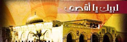 khalid_9449's profile banner image