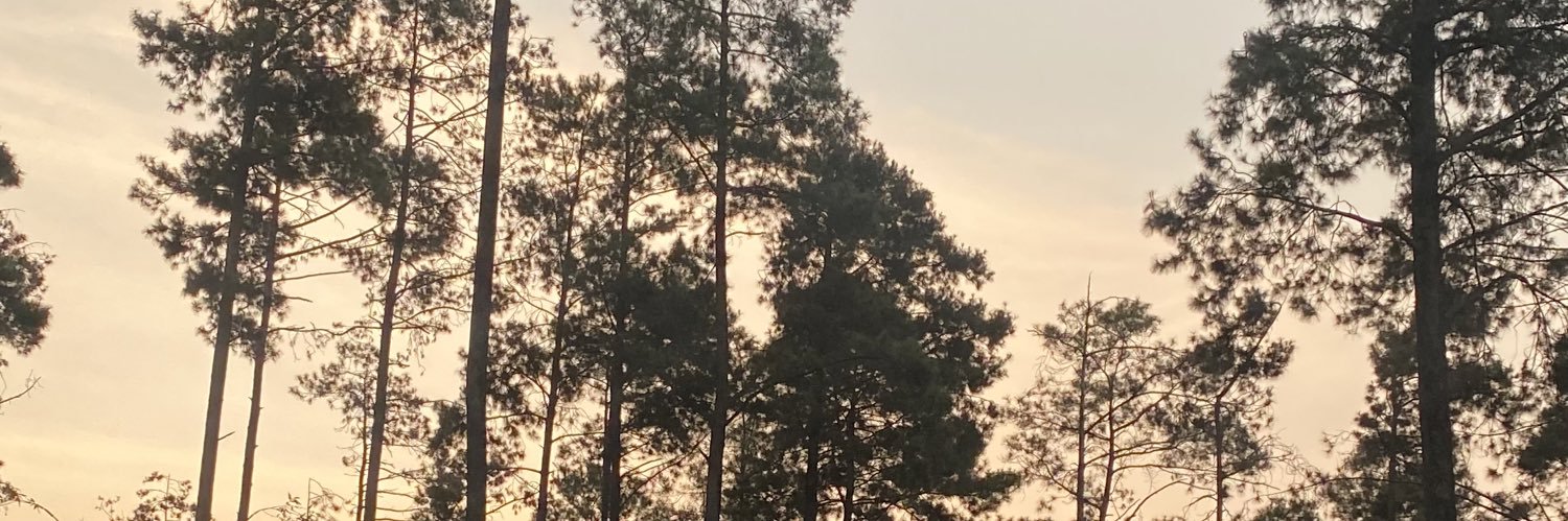 bethbalabalaa's profile banner image