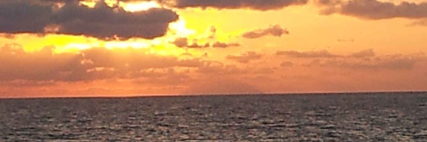 TinaAceti's profile banner image