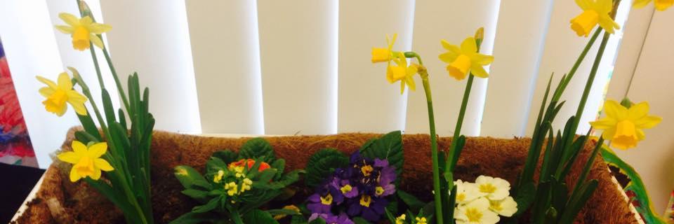 Le_Cheile_L's profile banner image