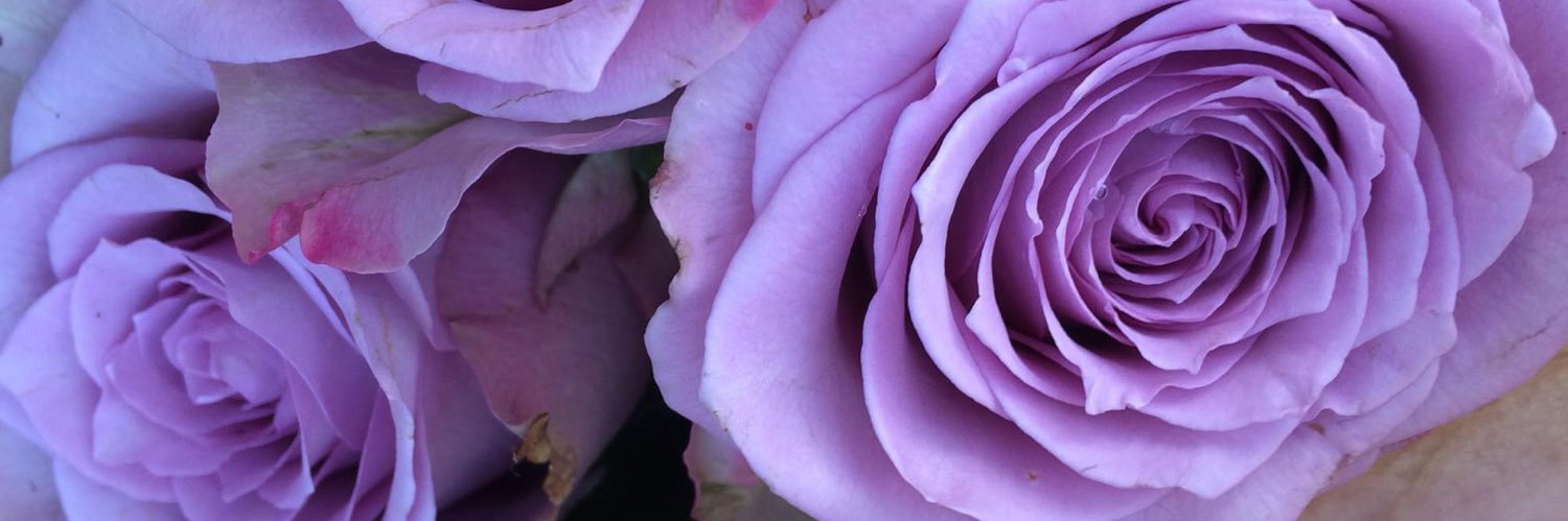 Designer_Shiner's profile banner image