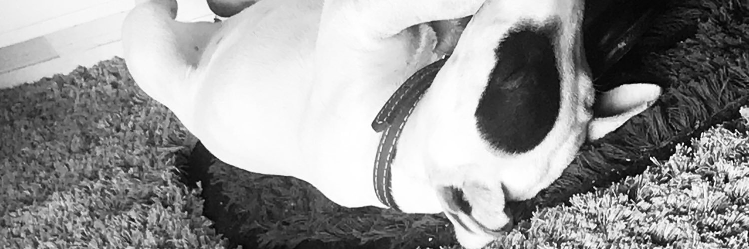 BantiPakama's profile banner image
