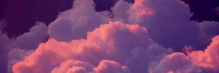 Albus Severus Potter banner