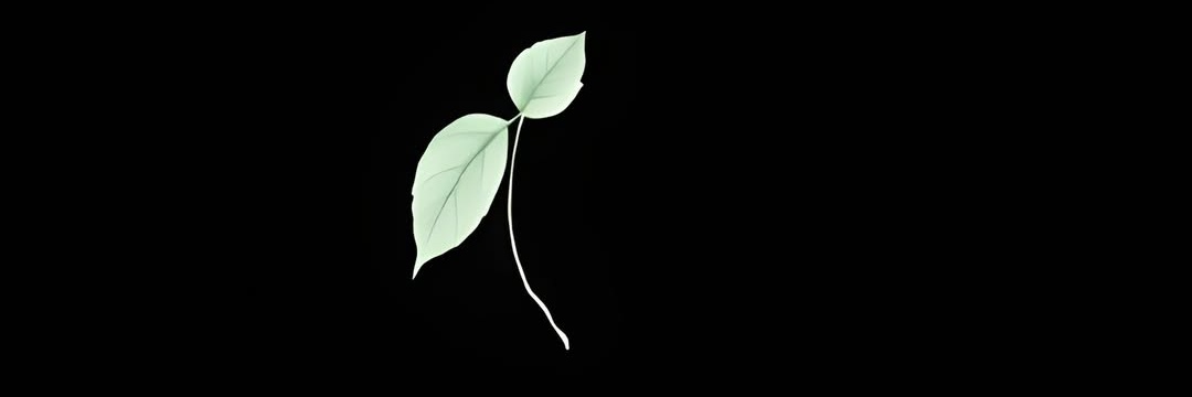 AjayLilrain's profile banner image