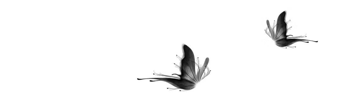 泊舟dom banner
