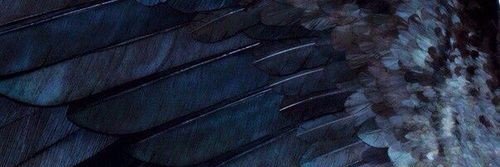 ProfsElizabeth's profile banner image