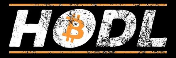 criptouniversoo Profile Banner