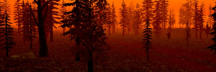 James Muirhead banner