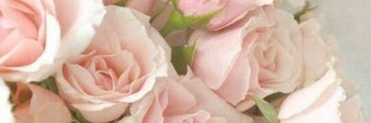 wendilyy's profile banner image