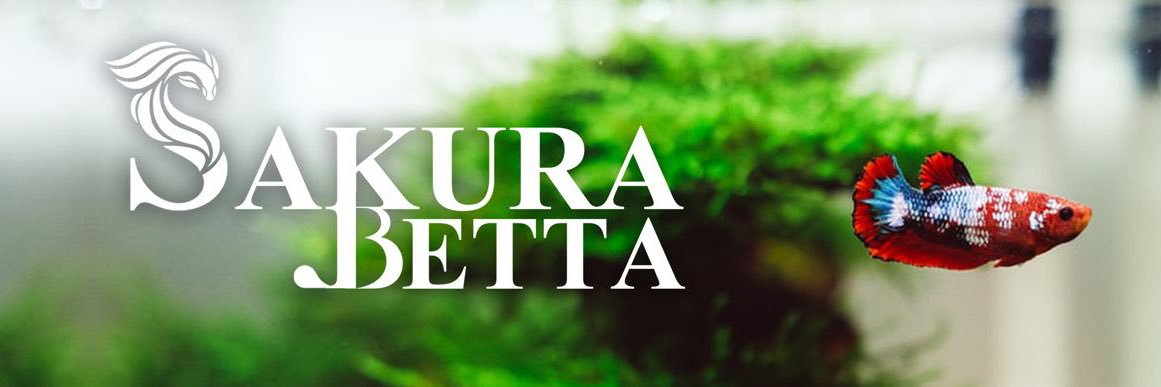 Abang Betta banner