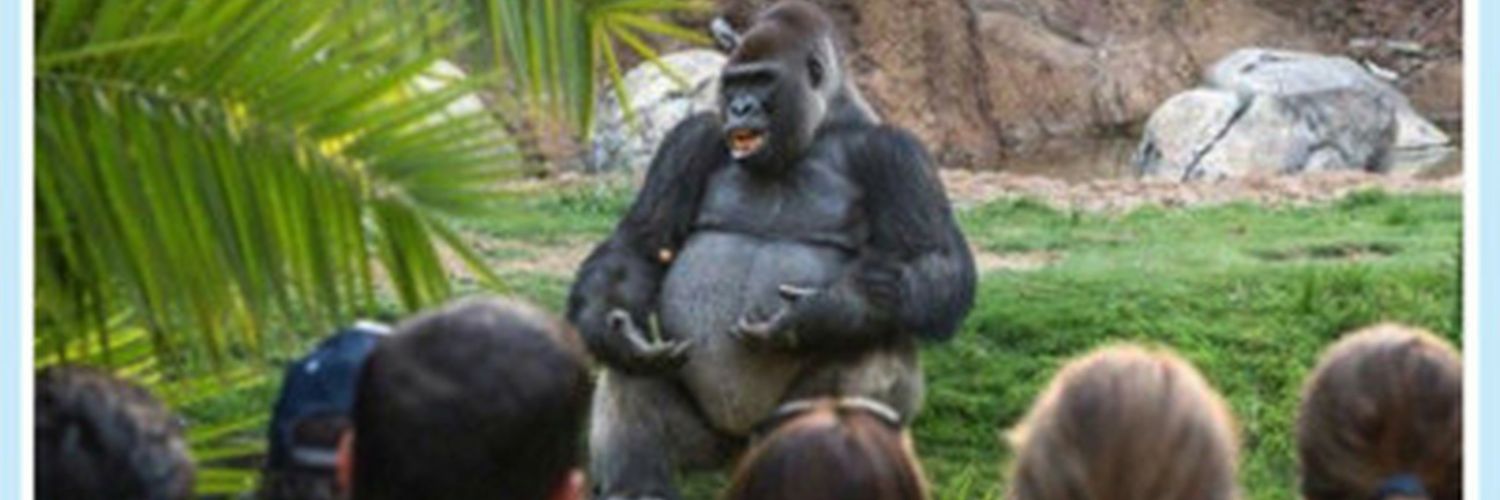 Isaac Grandilla banner