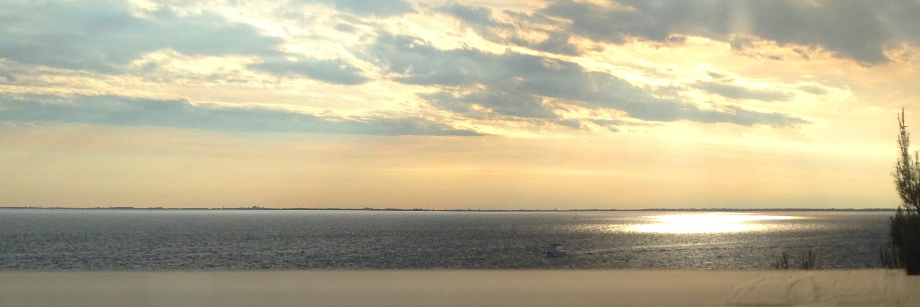 Stephane Mangeon banner