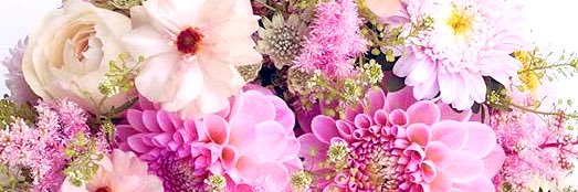 lalanhello's profile banner image