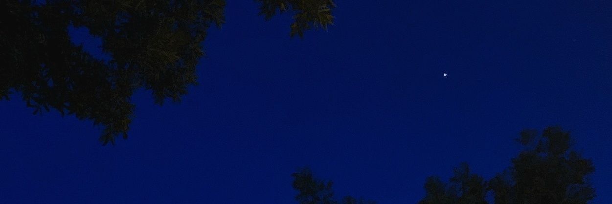 Maria banner