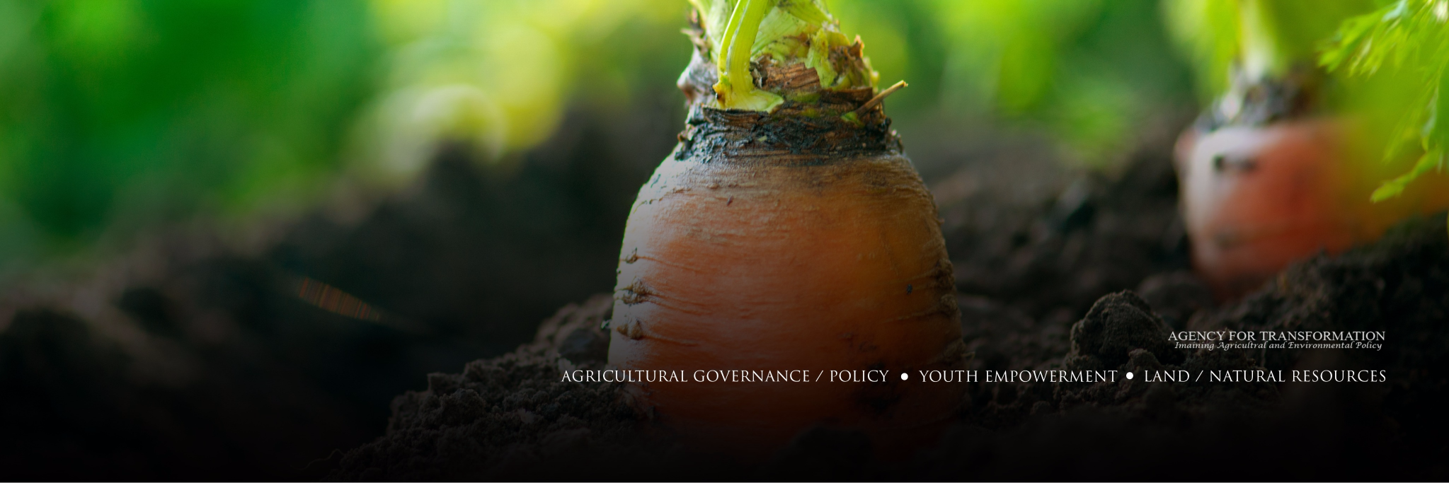 AgencyFT's profile banner image