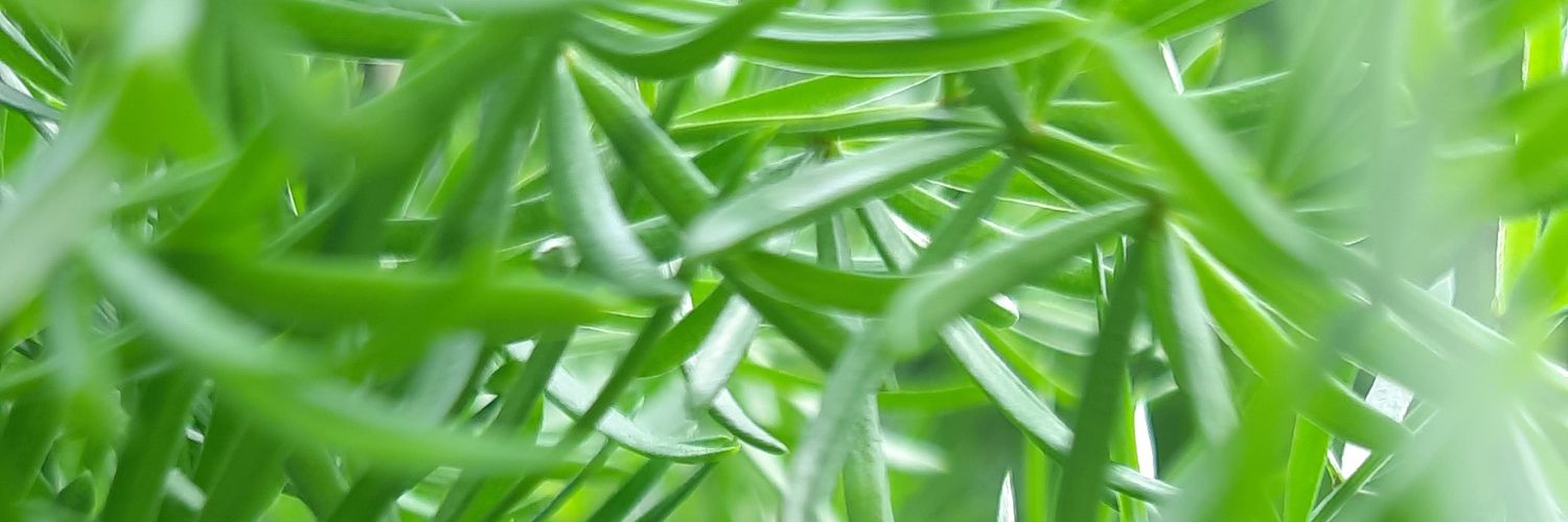 MauryaUmeshh's profile banner image