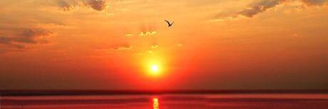 AmitSalhotra's profile banner image