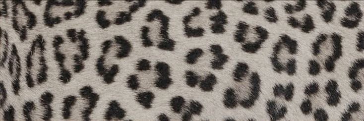 Alice ✮⋆˙ banner