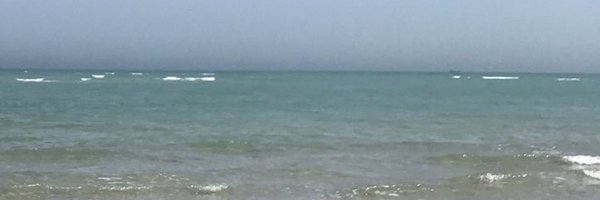 Rose99015680 Profile Banner