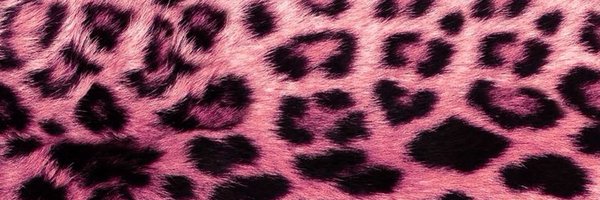 laysvonz Profile Banner