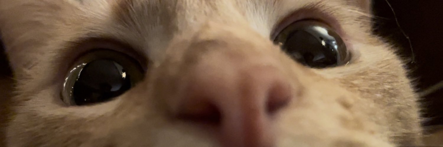 LayzuhCatz's banner