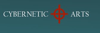 emergent _ cs banner