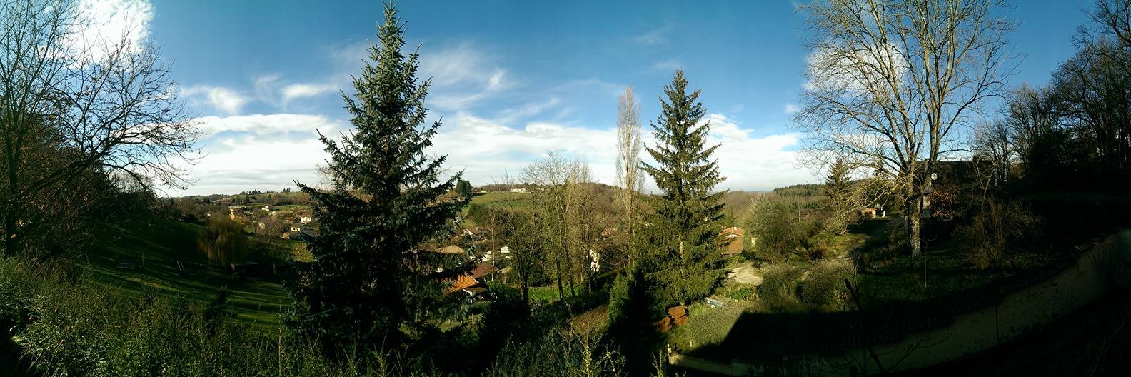 aurelienwillem's profile banner image
