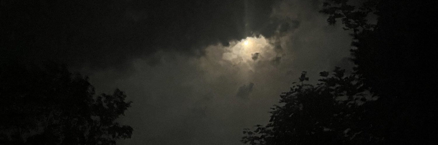 psyk3tic's profile banner image