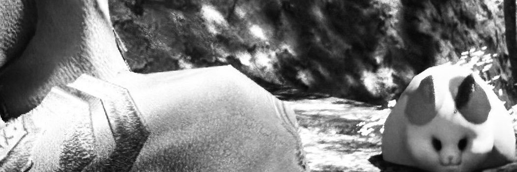 sargus22com's profile banner image