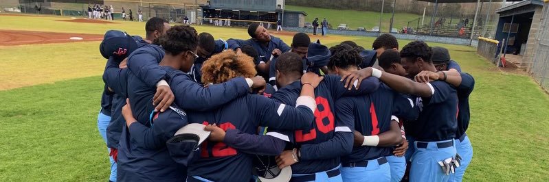 LaneCollegeBaseball⚾️ banner
