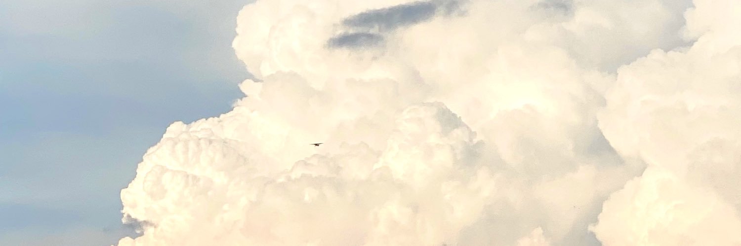 takiqween's profile banner image