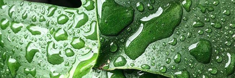 charlgoodman's profile banner image