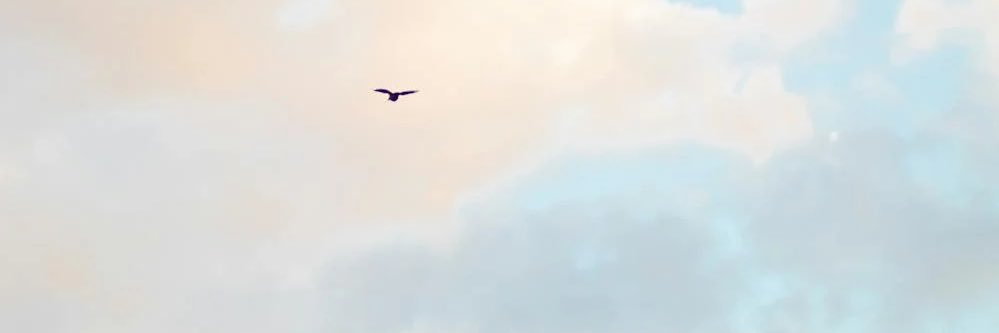 luiture's profile banner image