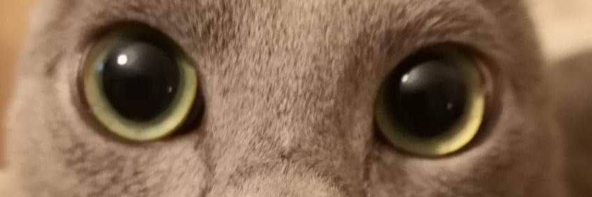 OOCZSP's profile banner image