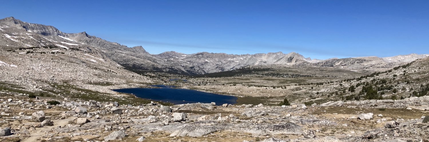 gonefishing ⦿ 🦣 banner