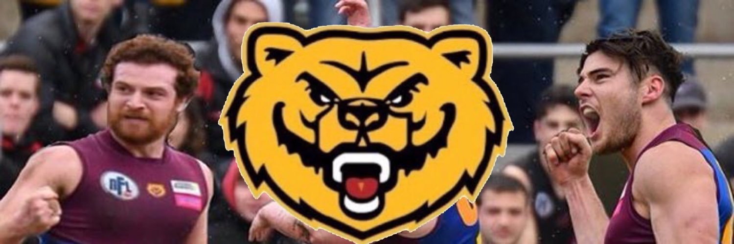 Banyule Football Club banner
