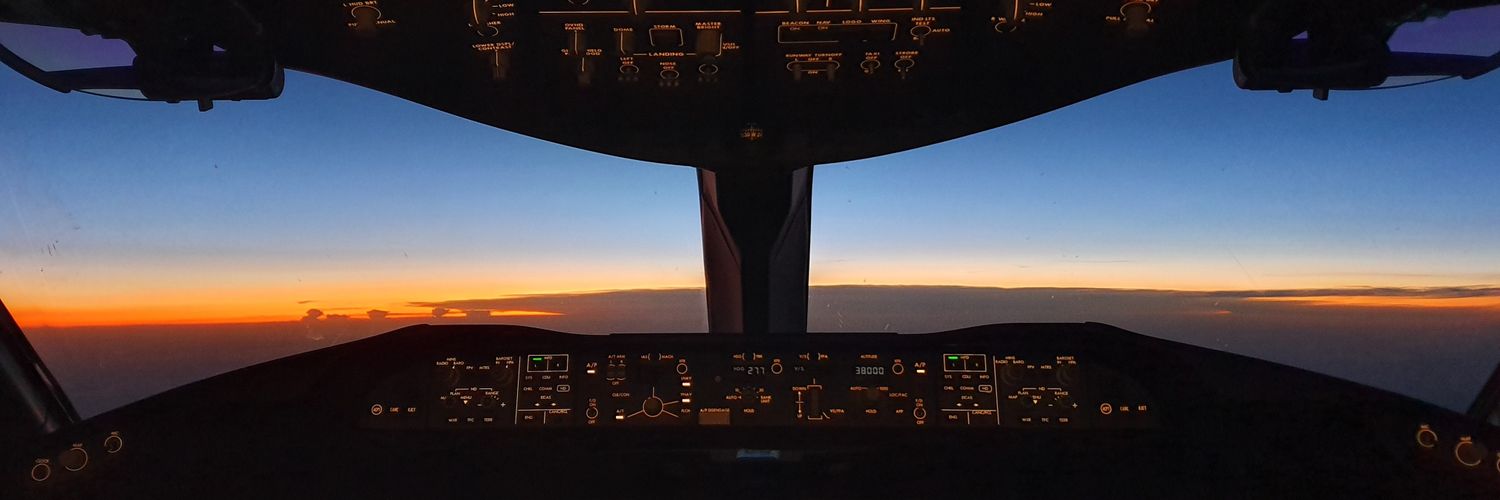 adelaidecui's profile banner image