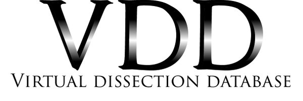 VDD_Anatomy Profile Banner