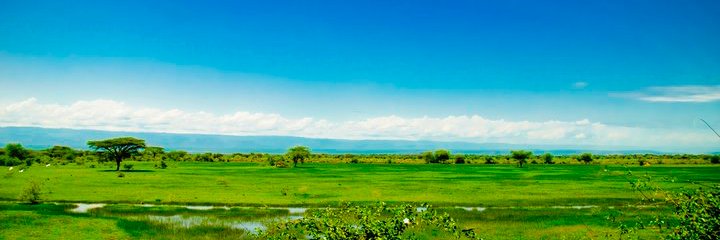 Lepalai's profile banner image
