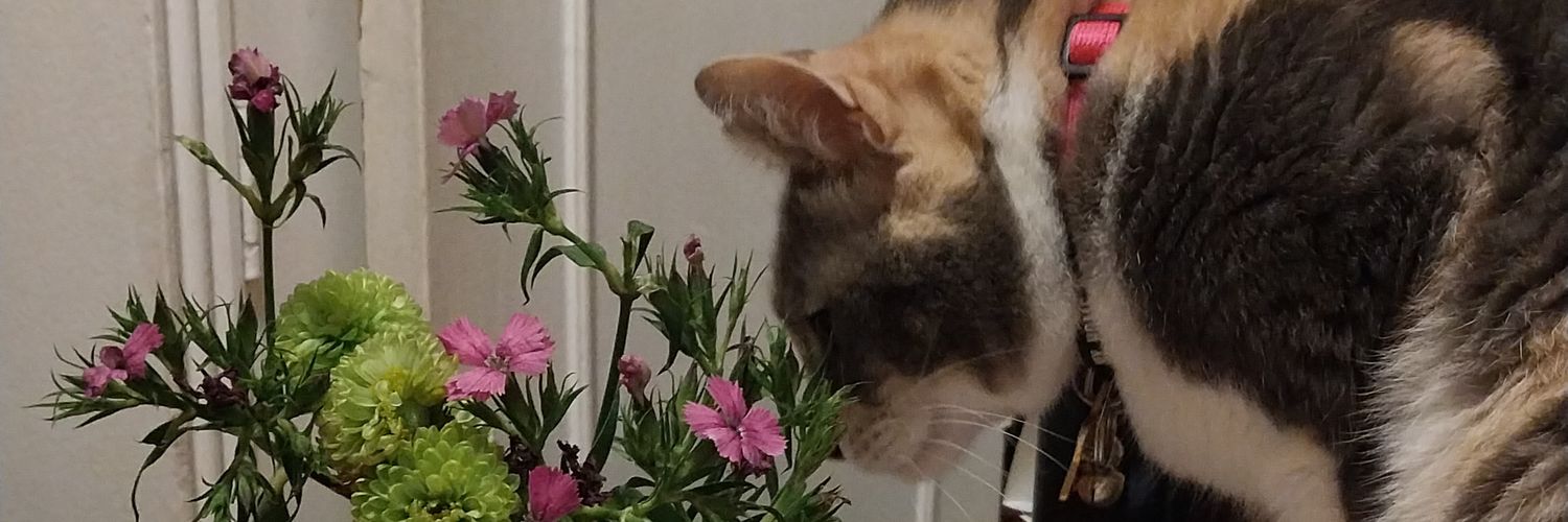 Alquimia #Y un día, los echamos💙❤🐶🐱💕 banner