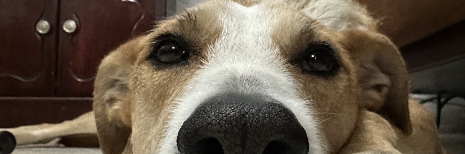 Clorox09's profile banner image