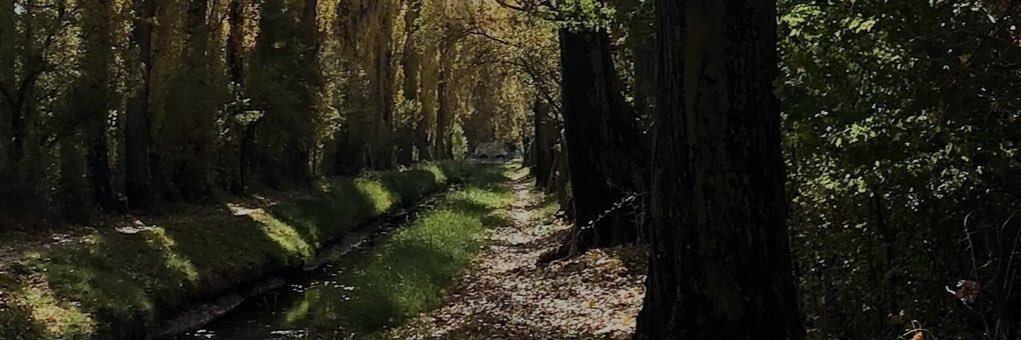 SteweedGriffin's profile banner image