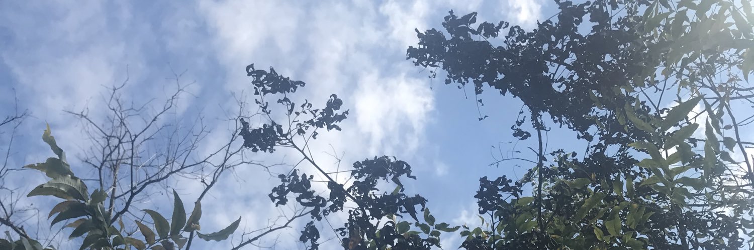 Rubenm096's profile banner image