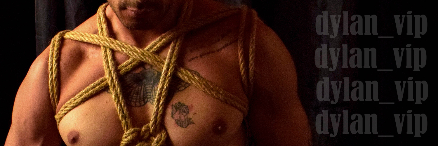 Dylan Sins banner