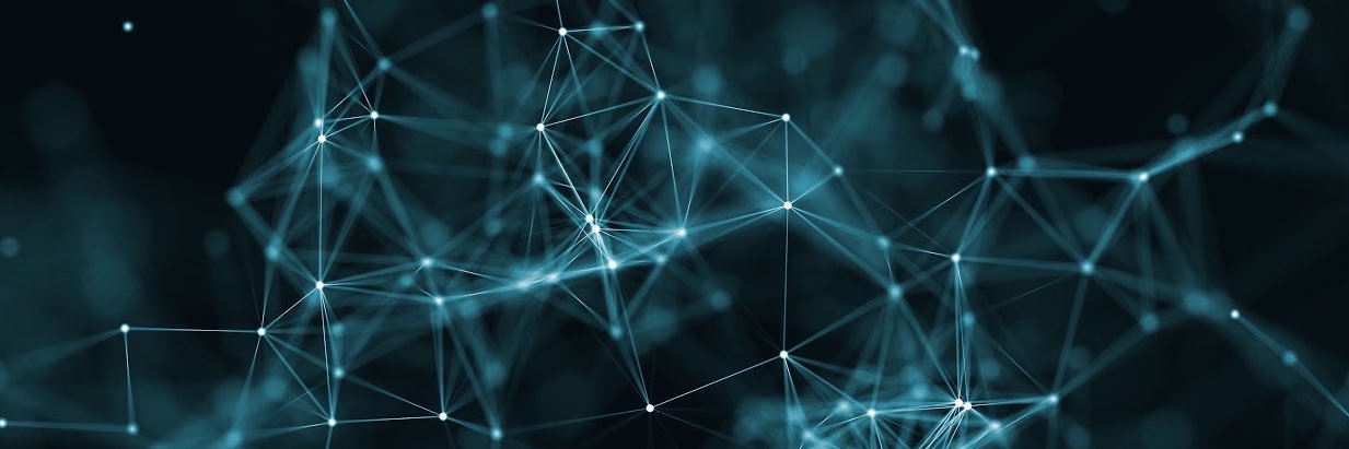 cryptomitz banner