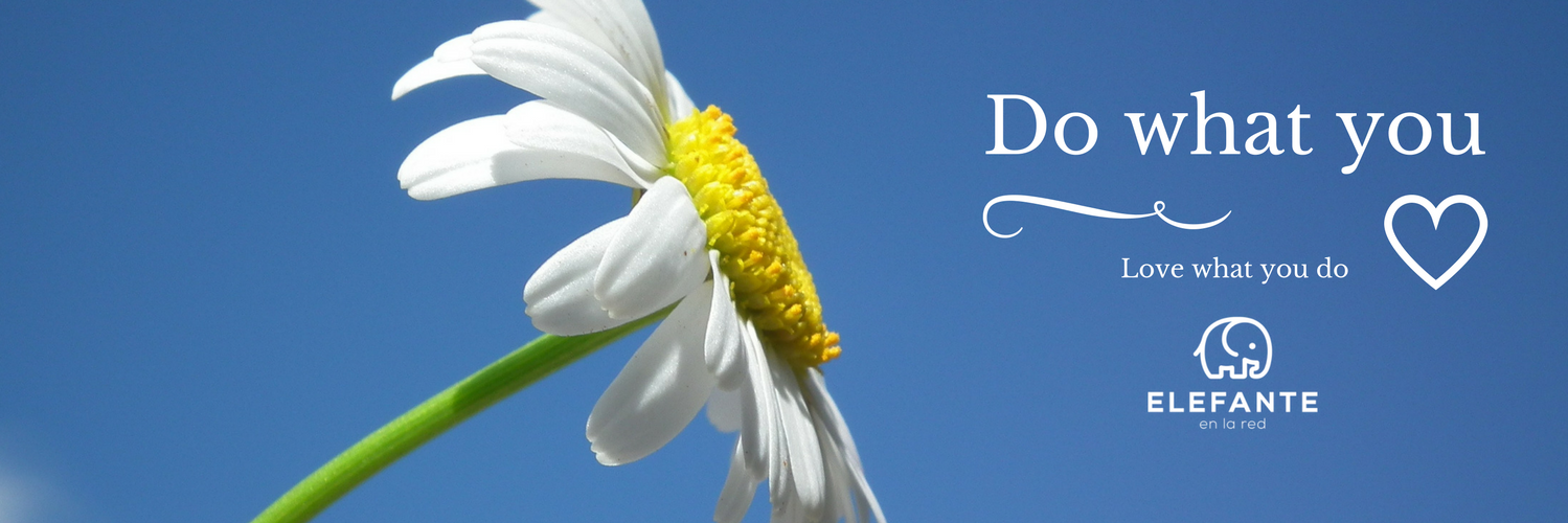 Miriam Andrés banner