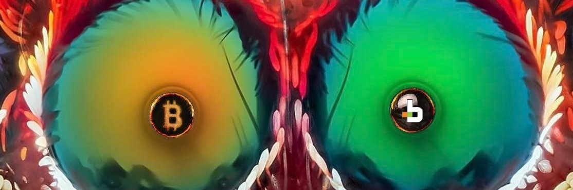 ThnkLikeWhales banner